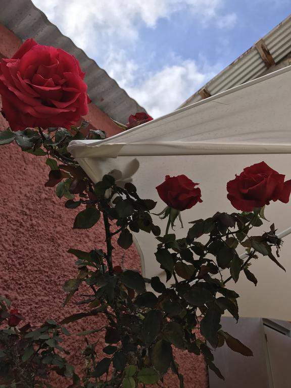 Hostal Avenue La Serena Kültér fotó