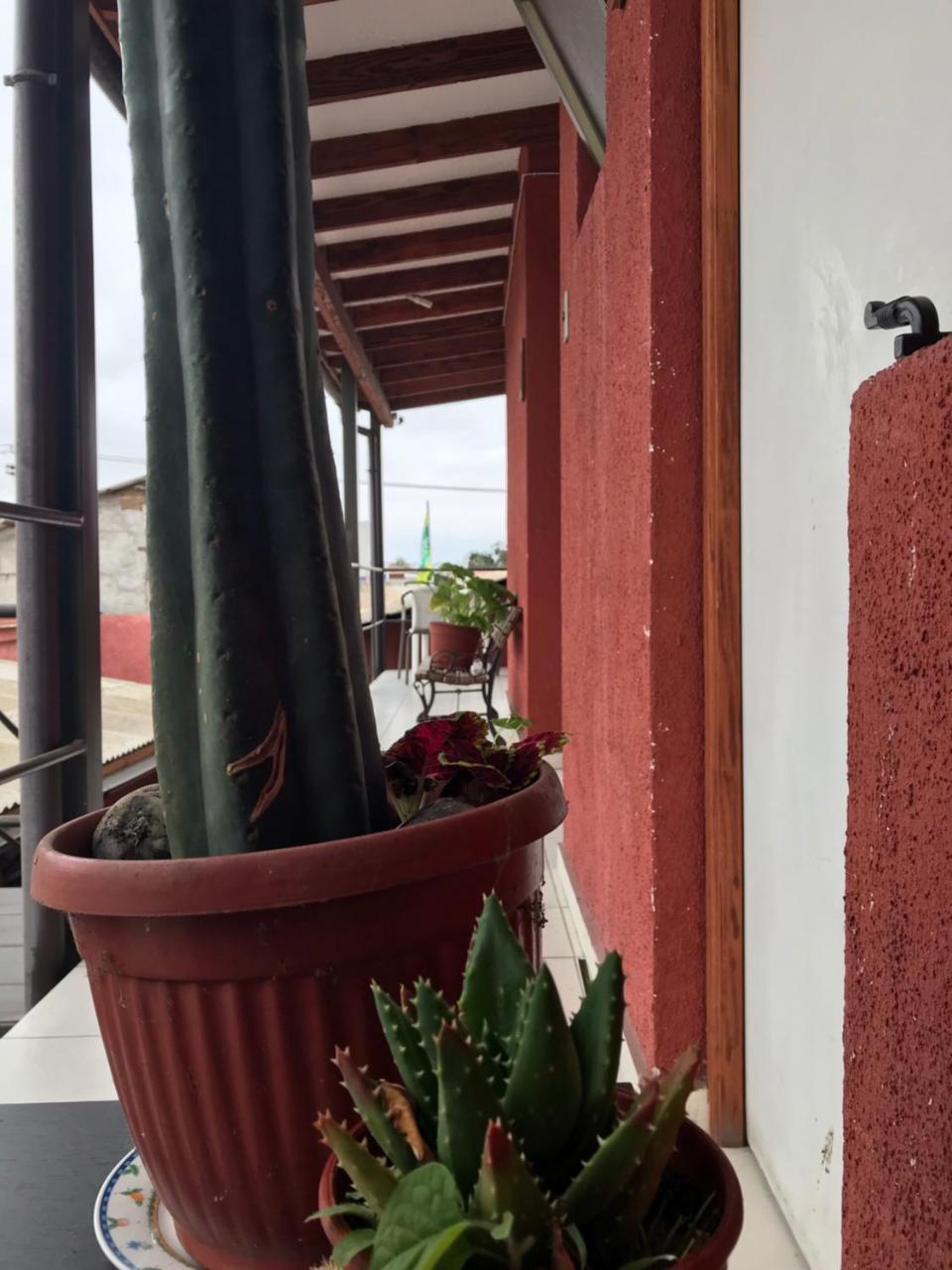 Hostal Avenue La Serena Kültér fotó